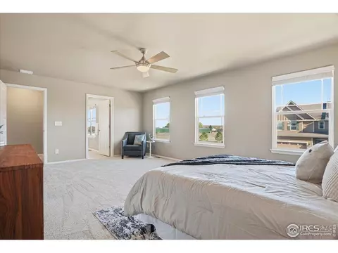2178 Longfin Dr, Windsor, CO 80550 photo 24