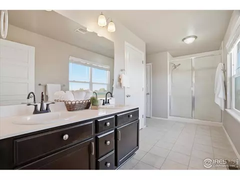 2178 Longfin Dr, Windsor, CO 80550 photo 23