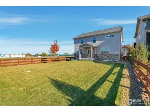 2178 Longfin Dr, Windsor, CO 80550 photo 33
