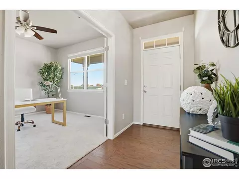 2178 Longfin Dr, Windsor, CO 80550 photo 3