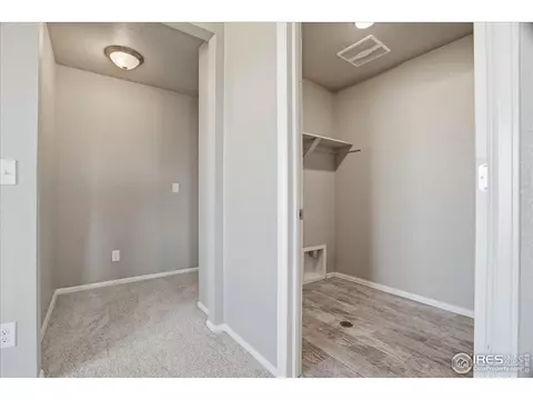 2178 Longfin Dr, Windsor, CO 80550 photo 28