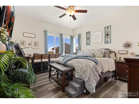923 Pitch Fork Dr, Windsor, CO 80550 photo 19
