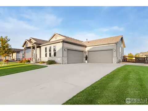 923 Pitch Fork Dr, Windsor, CO 80550 photo 3