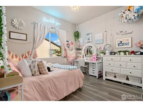 923 Pitch Fork Dr, Windsor, CO 80550 photo 9