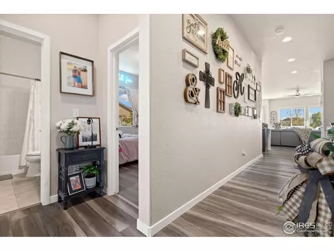 923 Pitch Fork Dr, Windsor, CO 80550 photo 7