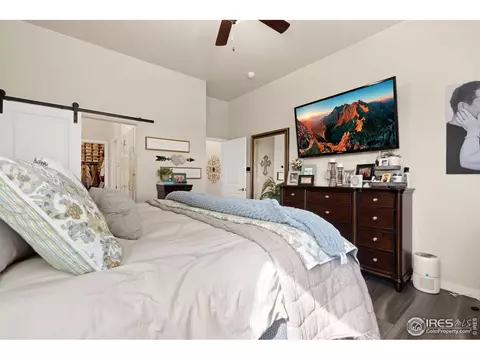 923 Pitch Fork Dr, Windsor, CO 80550 photo 20