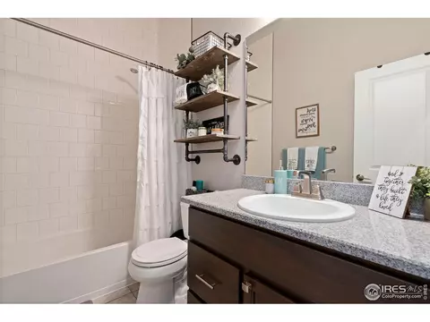 923 Pitch Fork Dr, Windsor, CO 80550 photo 10
