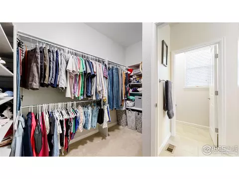 6794 Spring Rain Rd, Timnath, CO 80547 photo 25