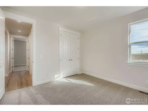 1825 Flourish Dr, Windsor, CO 80550 photo 16