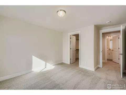 1825 Flourish Dr, Windsor, CO 80550 photo 24