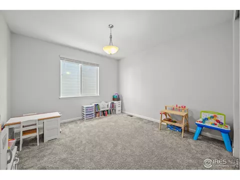 950 Rustling St, Windsor, CO 80550 photo 9