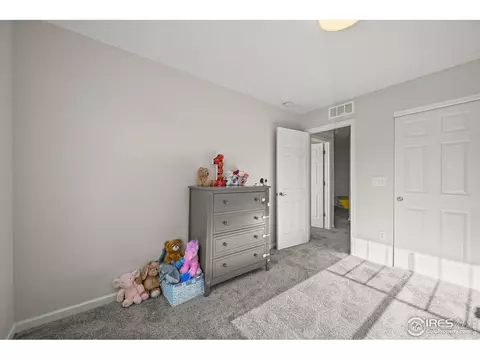 950 Rustling St, Windsor, CO 80550 photo 31