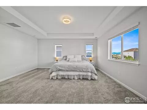 950 Rustling St, Windsor, CO 80550 photo 19