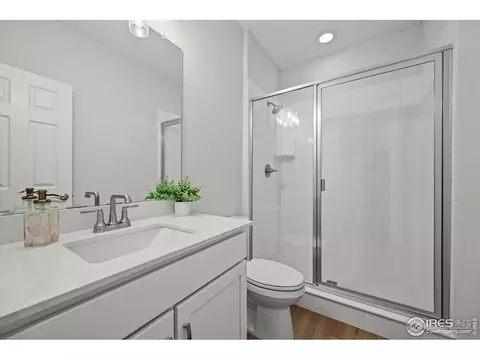 950 Rustling St, Windsor, CO 80550 photo 12