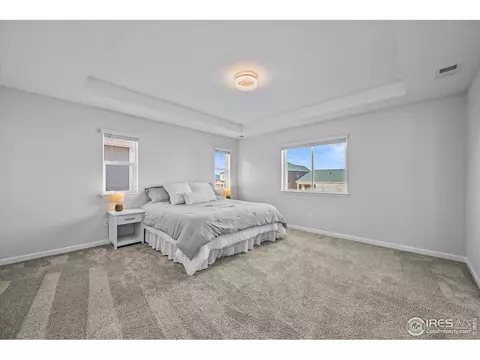 950 Rustling St, Windsor, CO 80550 photo 18