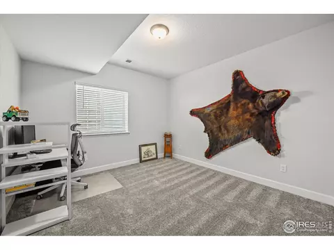 950 Rustling St, Windsor, CO 80550 photo 37