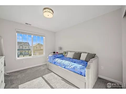950 Rustling St, Windsor, CO 80550 photo 29