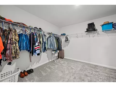 950 Rustling St, Windsor, CO 80550 photo 23