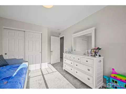 950 Rustling St, Windsor, CO 80550 photo 28