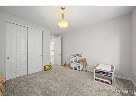 950 Rustling St, Windsor, CO 80550 photo 10