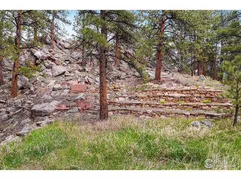 1289 Kiowa Rd, Lyons, CO 80540 photo 10