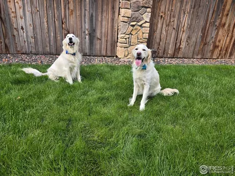 Other - 5261 E 143rd Dr, Thornton, CO 80602 photo 7 of 7