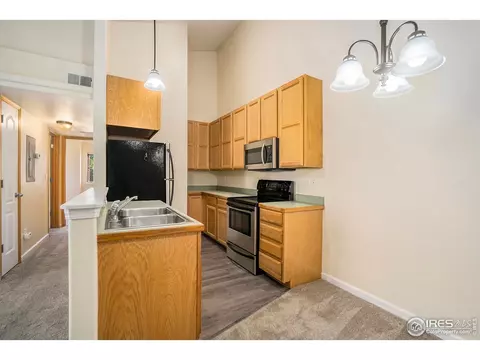 355 Buffalo Dr #E, Windsor, CO 80550 photo 4