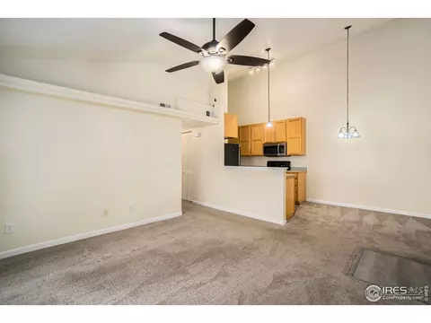 355 Buffalo Dr #E, Windsor, CO 80550 photo 3