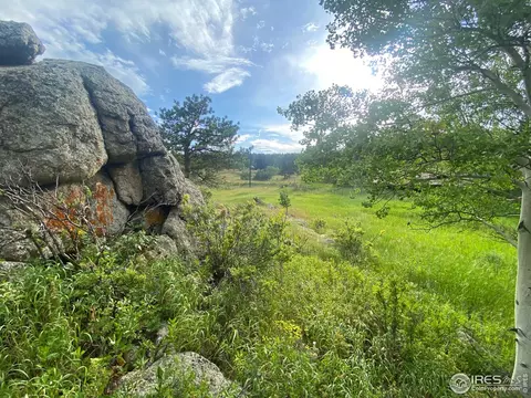 24 Hickok Trl, Ward, CO 80481