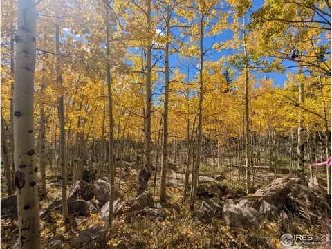 0 Bear Gulch Rd, Red Feather Lakes, CO 80545