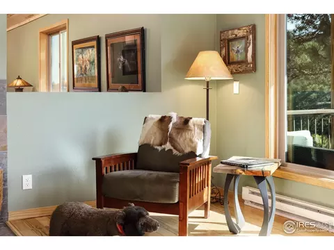 Living - 321 May Ave, Lyons, CO 80540 photo 3 of 4