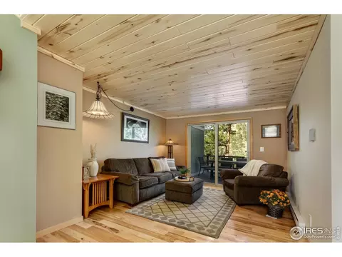 Living - 321 May Ave, Lyons, CO 80540 photo 4 of 4