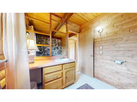 181 Deer Ln, Lyons, CO 80540 photo 13