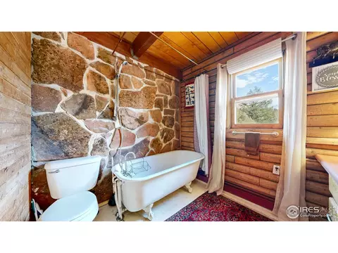 181 Deer Ln, Lyons, CO 80540 photo 12