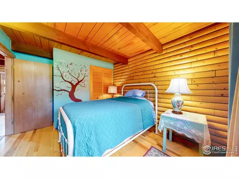 181 Deer Ln, Lyons, CO 80540 photo 10