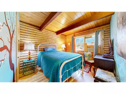 181 Deer Ln, Lyons, CO 80540 photo 9