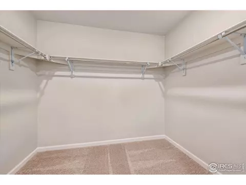Other - 882 Mesic Ln, Windsor, CO 80550 photo 6 of 6