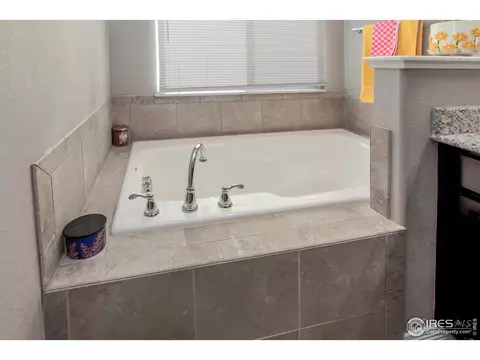 1297 Wild Basin Rd, Windsor, CO 80550 photo 21