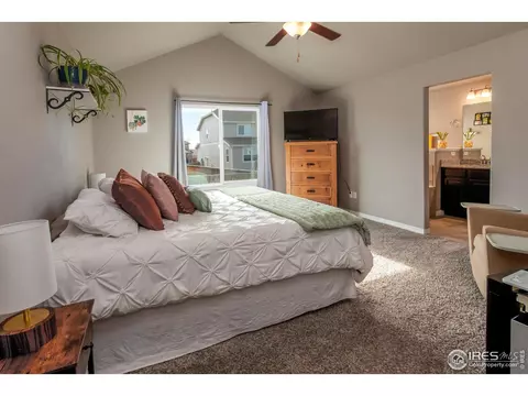 1297 Wild Basin Rd, Windsor, CO 80550 photo 19