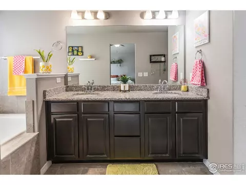 1297 Wild Basin Rd, Windsor, CO 80550 photo 22