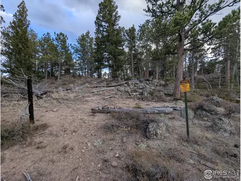 29 Santa Clara Ct, Red Feather Lakes, CO 80545