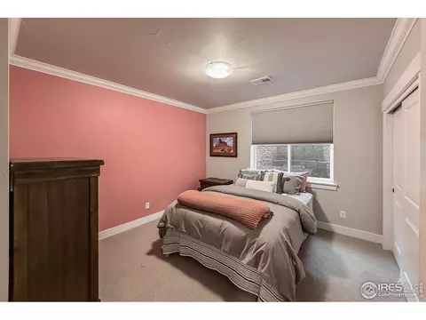 1568 Harebell St, Berthoud, CO 80513 photo 45