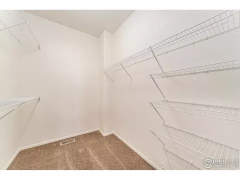 Other - 447 Havenbrook Dr, Windsor, CO 80550 photo 1 of 6