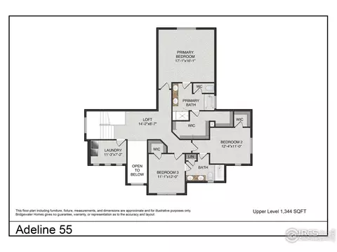 1793 Trilling Ct, Windsor, CO 80550 photo 3