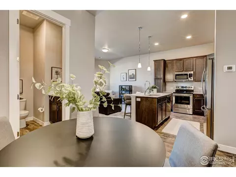 6780 Maple Leaf Dr, Timnath, CO 80547 photo 8