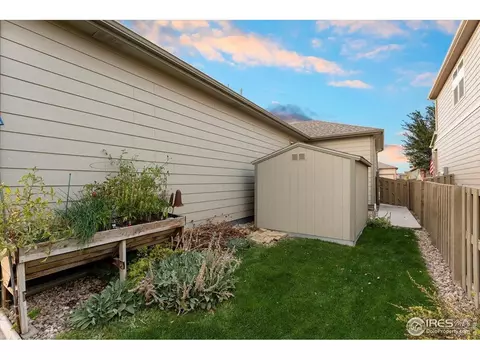 Exterior - 501 Buckrake St, Severance, CO 80550 photo 4 of 5