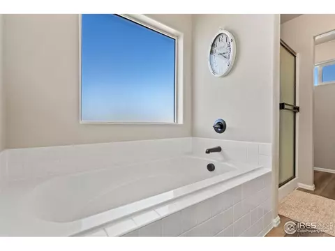 Bath - 902 Maplebrook Dr, Windsor, CO 80550 photo 3 of 6