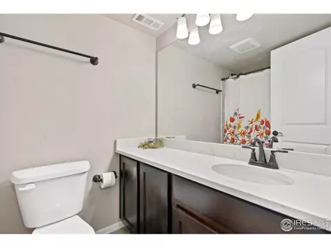 Bath - 902 Maplebrook Dr, Windsor, CO 80550 photo 6 of 6