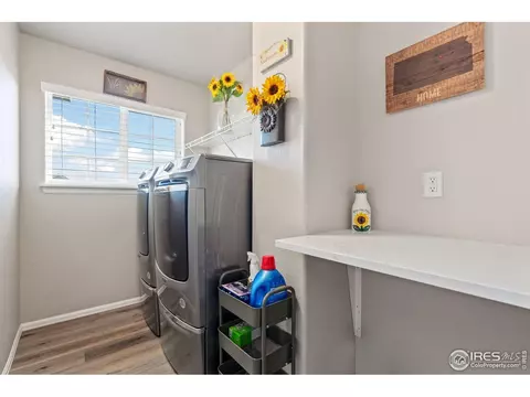 Other - 902 Maplebrook Dr, Windsor, CO 80550 photo 4 of 6