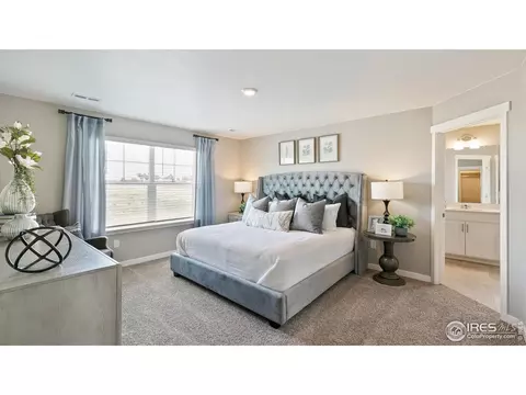 5967 Holstein Dr, Windsor, CO 80528 photo 13